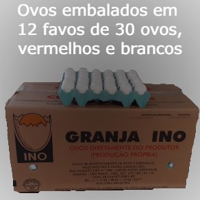 360 Ovos Extra Branco Granel